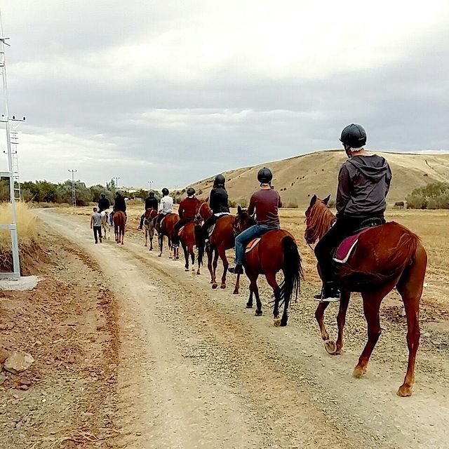 Eşsiz Manzaraları Keşfedin: At İle Yapılan Doğa Turları