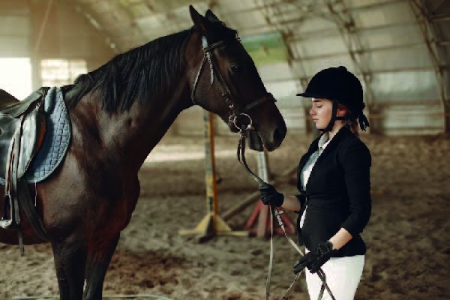 Eşsiz Doğa Deneyimi: At İle Doğa Turuna Hazır mısınız?